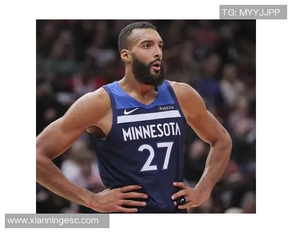鲁迪戈贝尔的篮球之路与他在NBA的影响力分析