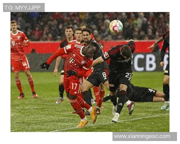 凯尔特人迎战伯恩利期待一场精彩的足球对决与激情碰撞