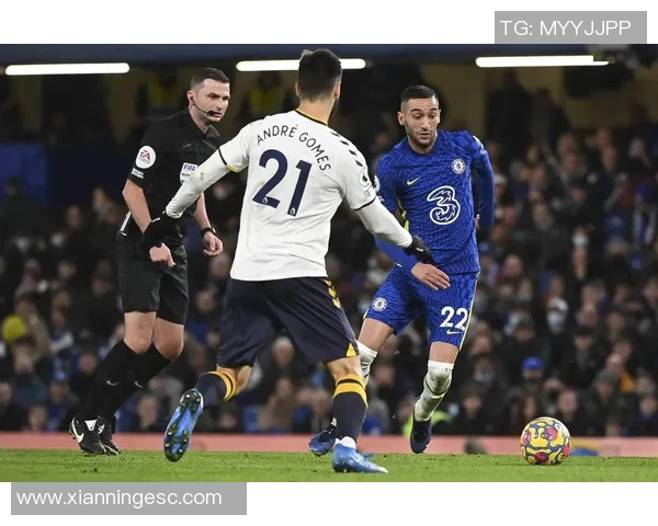 切尔西与埃弗顿的激烈对决展现英超赛场的精彩与魅力